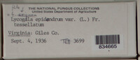 Image Associated With the Occurence
